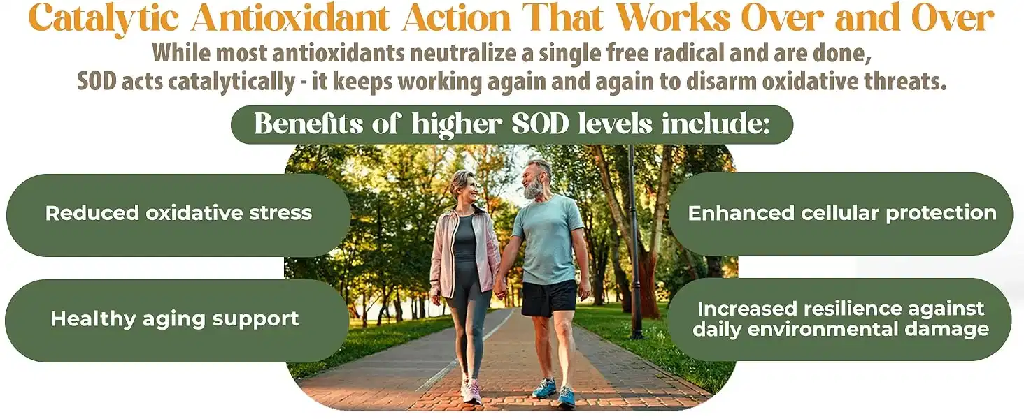 SOD Support - Image 5