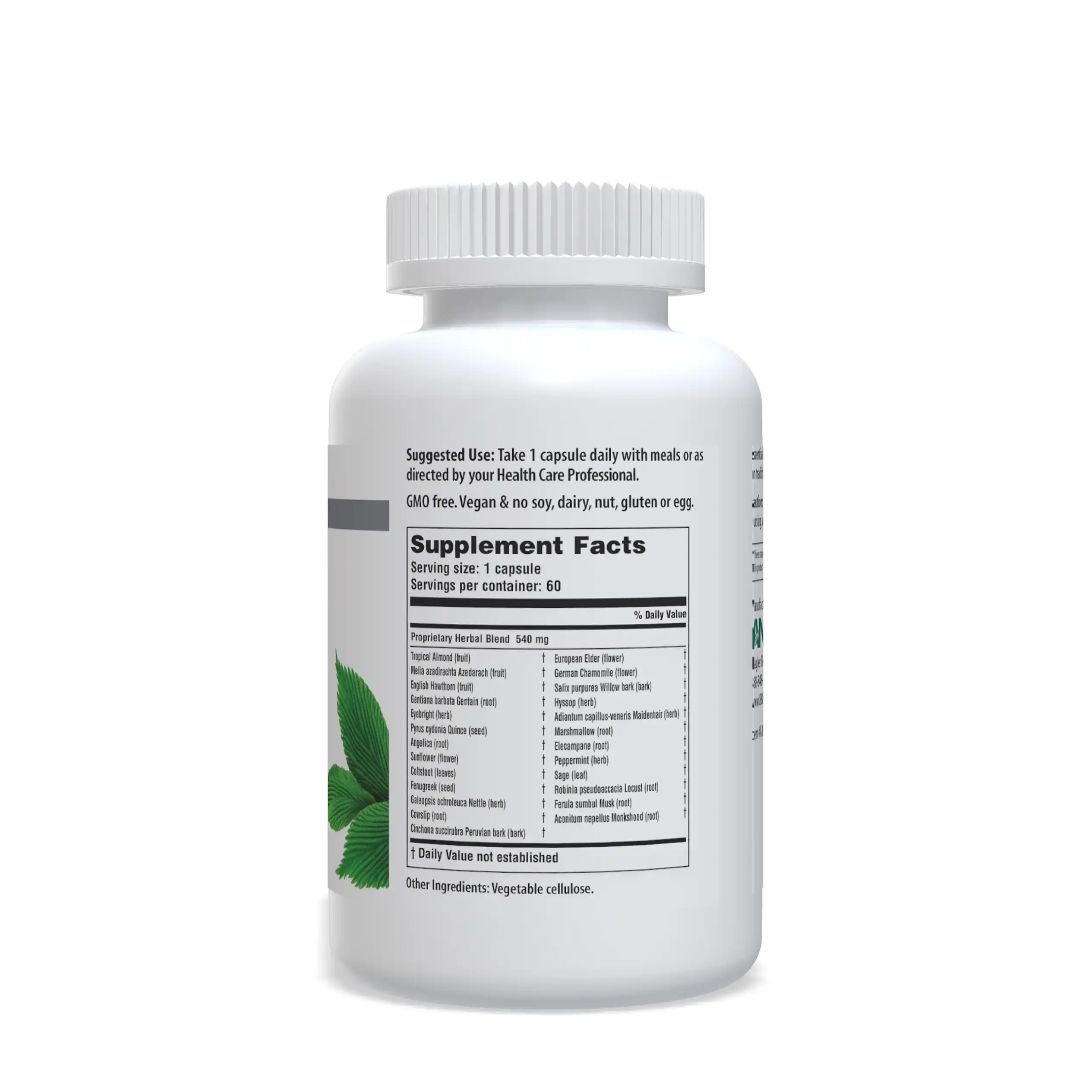 Essential-Detox-Right