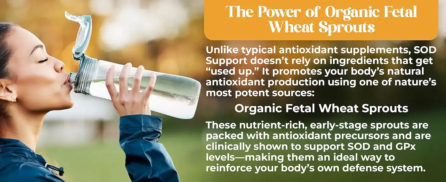 SOD Support - Image 7