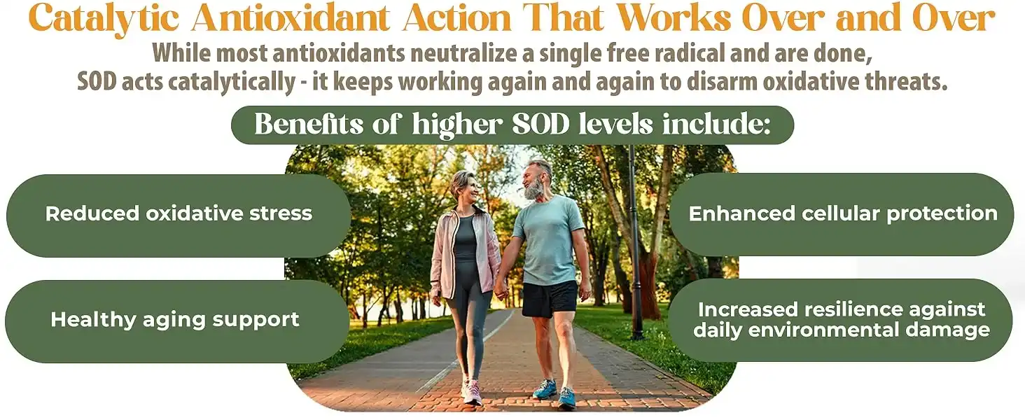 SOD Support - Image 5